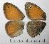  ( - RV-06-K637)  @12 [ ] Copyright (2010) Unspecified Institute of Evolutionary Biology