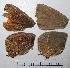  ( - RV-06-M907)  @12 [ ] Copyright (2010) Unspecified Institute of Evolutionary Biology