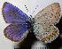  ( - RV-07-D233)  @14 [ ] Copyright (2010) Unspecified Institute of Evolutionary Biology