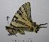  ( - RV-08-A029)  @12 [ ] Copyright (2010) Unspecified Institute of Evolutionary Biology