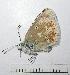  ( - RV-07-F561)  @12 [ ] Copyright (2010) Unspecified Institute of Evolutionary Biology