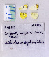  ( - RVcoll.08-P202)  @13 [ ] Copyright (2010) Unspecified Institute of Evolutionary Biology