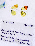  ( - RVcoll.08-H625)  @13 [ ] Copyright (2010) Unspecified Institute of Evolutionary Biology