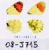  ( - RVcoll.08-J715)  @13 [ ] Copyright (2010) Unspecified Institute of Evolutionary Biology