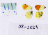  ( - RVcoll.08-L029)  @13 [ ] Copyright (2010) Unspecified Institute of Evolutionary Biology