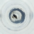  ( - FACE_010_B8)  @11 [ ] by  Genome Research Ltd as Wellcome Sanger Institute Genome Research Limited operating as Wellcome Sanger Institute