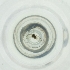  ( - FACE_015_E8)  @11 [ ] by  Genome Research Ltd as Wellcome Sanger Institute Genome Research Limited operating as Wellcome Sanger Institute