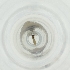  (Spungisomyia aberrans - FACE_019_F4)  @11 [ ] by  Genome Research Ltd as Wellcome Sanger Institute Genome Research Limited operating as Wellcome Sanger Institute