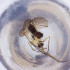  ( - FACE_023_E5)  @11 [ ] by  Genome Research Ltd as Wellcome Sanger Institute Genome Research Limited operating as Wellcome Sanger Institute