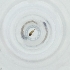  ( - FACE_036_D9)  @11 [ ] by  Genome Research Ltd as Wellcome Sanger Institute Genome Research Limited operating as Wellcome Sanger Institute