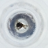  ( - FACE_037_F5)  @11 [ ] by  Genome Research Ltd as Wellcome Sanger Institute Genome Research Limited operating as Wellcome Sanger Institute