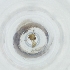  ( - FACE_040_C7)  @11 [ ] by  Genome Research Ltd as Wellcome Sanger Institute Genome Research Limited operating as Wellcome Sanger Institute