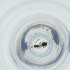  ( - FACE_098_B1)  @11 [ ] by  Genome Research Ltd as Wellcome Sanger Institute Genome Research Limited operating as Wellcome Sanger Institute