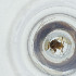  ( - FACE_111_D5)  @11 [ ] by  Genome Research Ltd as Wellcome Sanger Institute Genome Research Limited operating as Wellcome Sanger Institute