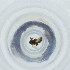  ( - FACE_114_E6)  @11 [ ] by  Genome Research Ltd as Wellcome Sanger Institute Genome Research Limited operating as Wellcome Sanger Institute