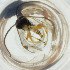  ( - FACE_118_C9)  @11 [ ] by  Genome Research Ltd as Wellcome Sanger Institute Genome Research Limited operating as Wellcome Sanger Institute
