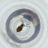  ( - FACE_120_E1)  @11 [ ] by  Genome Research Ltd as Wellcome Sanger Institute Genome Research Limited operating as Wellcome Sanger Institute