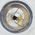  ( - FACE_145_D8)  @11 [ ] by  Genome Research Ltd as Wellcome Sanger Institute Genome Research Limited operating as Wellcome Sanger Institute