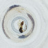  ( - FACE_150_C7)  @11 [ ] by  Genome Research Ltd as Wellcome Sanger Institute Genome Research Limited operating as Wellcome Sanger Institute