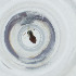  ( - FACE_154_B9)  @11 [ ] by  Genome Research Ltd as Wellcome Sanger Institute Genome Research Limited operating as Wellcome Sanger Institute