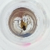  ( - FACE_162_H11)  @11 [ ] by  Genome Research Ltd as Wellcome Sanger Institute Genome Research Limited operating as Wellcome Sanger Institute