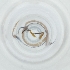  ( - FACE_167_A12)  @11 [ ] by  Genome Research Ltd as Wellcome Sanger Institute Genome Research Limited operating as Wellcome Sanger Institute