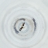  ( - FACE_167_G3)  @11 [ ] by  Genome Research Ltd as Wellcome Sanger Institute Genome Research Limited operating as Wellcome Sanger Institute