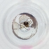  ( - FACE_183_H11)  @11 [ ] by  Genome Research Ltd as Wellcome Sanger Institute Genome Research Limited operating as Wellcome Sanger Institute