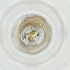  ( - FACE_186_E10)  @11 [ ] by  Genome Research Ltd as Wellcome Sanger Institute Genome Research Limited operating as Wellcome Sanger Institute
