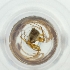  ( - FACE_191_E2)  @11 [ ] by  Genome Research Ltd as Wellcome Sanger Institute Genome Research Limited operating as Wellcome Sanger Institute