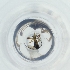  ( - FACE_191_H4)  @11 [ ] by  Genome Research Ltd as Wellcome Sanger Institute Genome Research Limited operating as Wellcome Sanger Institute