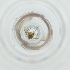  ( - FACE_192_C8)  @11 [ ] by  Genome Research Ltd as Wellcome Sanger Institute Genome Research Limited operating as Wellcome Sanger Institute