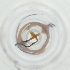  ( - FACE_195_B8)  @11 [ ] by  Genome Research Ltd as Wellcome Sanger Institute Genome Research Limited operating as Wellcome Sanger Institute