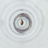  ( - FACE_196_C7)  @11 [ ] by  Genome Research Ltd as Wellcome Sanger Institute Genome Research Limited operating as Wellcome Sanger Institute