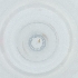  ( - FACE_197_D12)  @11 [ ] by  Genome Research Ltd as Wellcome Sanger Institute Genome Research Limited operating as Wellcome Sanger Institute