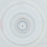  ( - FACE_197_E12)  @11 [ ] by  Genome Research Ltd as Wellcome Sanger Institute Genome Research Limited operating as Wellcome Sanger Institute