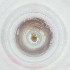  ( - FACE_197_G11)  @11 [ ] by  Genome Research Ltd as Wellcome Sanger Institute Genome Research Limited operating as Wellcome Sanger Institute