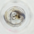  ( - FACE_198_G10)  @11 [ ] by  Genome Research Ltd as Wellcome Sanger Institute Genome Research Limited operating as Wellcome Sanger Institute