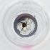  ( - FACE_199_H11)  @11 [ ] by  Genome Research Ltd as Wellcome Sanger Institute Genome Research Limited operating as Wellcome Sanger Institute