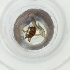  ( - FACE_210_A12)  @11 [ ] by  Genome Research Ltd as Wellcome Sanger Institute Genome Research Limited operating as Wellcome Sanger Institute
