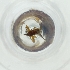  ( - FACE_210_B9)  @11 [ ] by  Genome Research Ltd as Wellcome Sanger Institute Genome Research Limited operating as Wellcome Sanger Institute