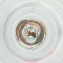  ( - FACE_211_H11)  @11 [ ] by  Genome Research Ltd as Wellcome Sanger Institute Genome Research Limited operating as Wellcome Sanger Institute
