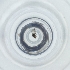  ( - FACE_234_B11)  @11 [ ] by  Genome Research Ltd as Wellcome Sanger Institute Genome Research Limited operating as Wellcome Sanger Institute