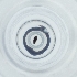  ( - FACE_237_H4)  @11 [ ] by  Genome Research Ltd as Wellcome Sanger Institute Genome Research Limited operating as Wellcome Sanger Institute