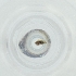  ( - FACE_240_E4)  @11 [ ] by  Genome Research Ltd as Wellcome Sanger Institute Genome Research Limited operating as Wellcome Sanger Institute