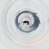  ( - FACE_286_H10)  @11 [ ] by  Genome Research Ltd as Wellcome Sanger Institute Genome Research Limited operating as Wellcome Sanger Institute
