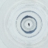  ( - FACE_295_D6)  @11 [ ] by  Genome Research Ltd as Wellcome Sanger Institute Genome Research Limited operating as Wellcome Sanger Institute
