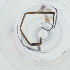  ( - FACE_295_E11)  @11 [ ] by  Genome Research Ltd as Wellcome Sanger Institute Genome Research Limited operating as Wellcome Sanger Institute