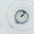  ( - FACE_315_F9)  @11 [ ] by  Genome Research Ltd as Wellcome Sanger Institute Genome Research Limited operating as Wellcome Sanger Institute