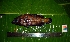  ( - WEH_KM4_ARGUS)  @11 [ ] Copyright (2017) FADLI Unspecified